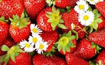 Sol, sommer, genåbning – og EM-fodbold
