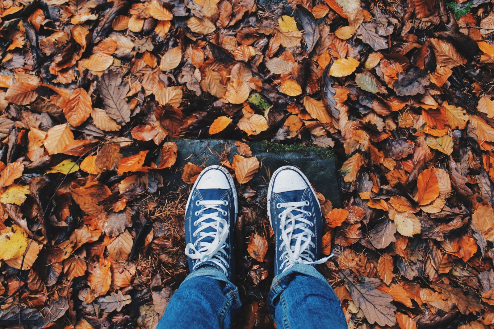 Every season has its charm